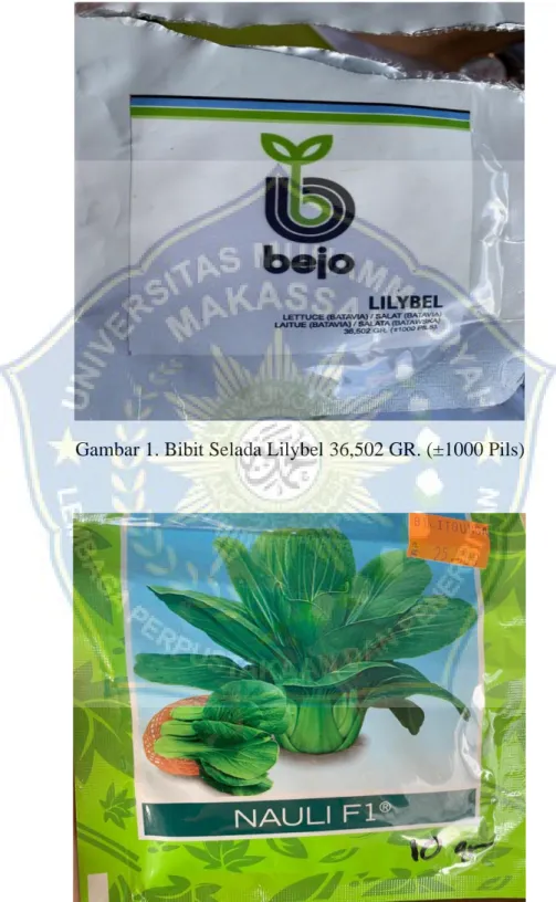 Gambar 1. Bibit Selada Lilybel 36,502 GR. (±1000 Pils) 