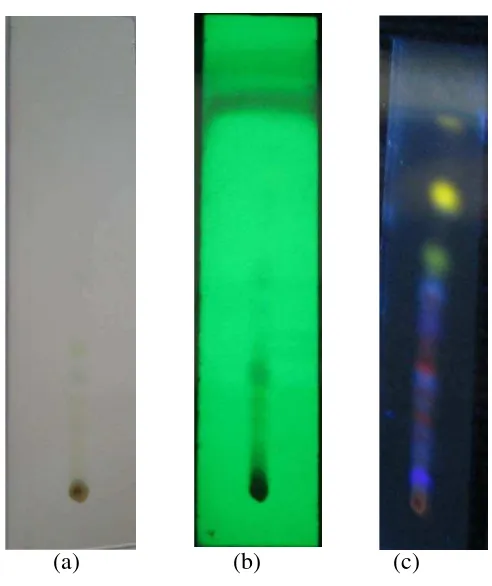 Gambar  4.1   Kromatogram Sampel EEABA (ekstrak etil asetat buah andaliman) dengan fase gerak etilasetat:n-heksan (8:2) 