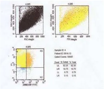 Gambar 4.6 Gambaran persentase kondisi sel MCF-7 yang diberi  EEABA-Doxorubicin 