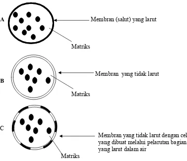 Gambar 1. contoh tiga tipe modifikasi matriks dengan mekanisme pelepasan yang berbeda 