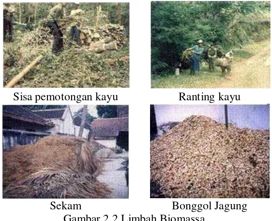 Gambar 2.2 Limbah Biomassa 