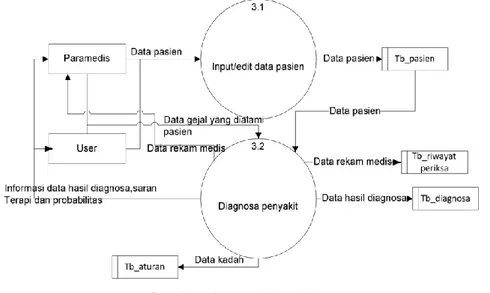 Gambar 3. Data Flow Diagram   Kaidah Produksi  