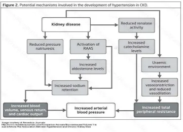 Gambar 2.1. Mekanisme Terjadinya Hipertensi pada PGK 