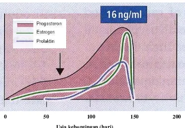 Gambar 3  Pola hormon dalam plasma darah domba saat bunting. Garis panah                     menunjukkan saat dimana ovariektomi (Johnson & Everitt 2000)