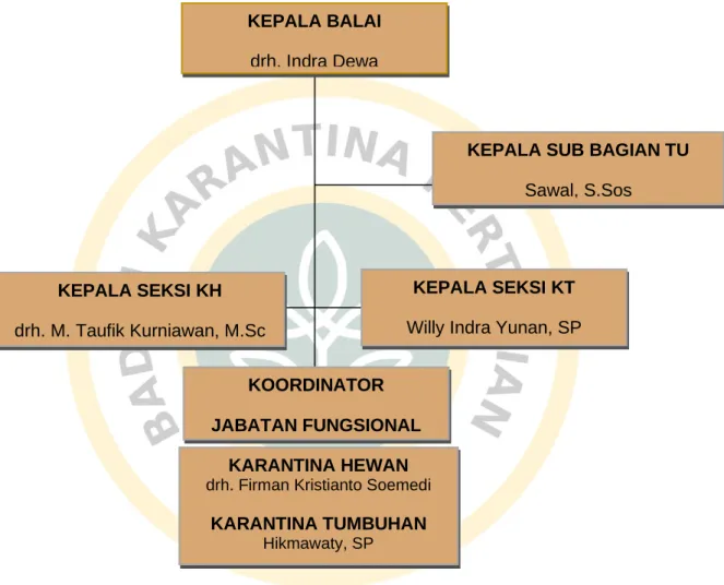 Gambar 1.   Struktur Organisasi Balai Karantina Pertanian Kelas II Gorontalo Tahun  2018 