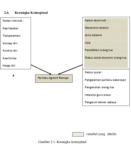 Gambar 2.1. Kerangka konseptual 