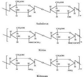 Gambar 2.1 : Struktur Selulosa, Kitin dan Kitosan 