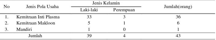Tabel 3. Rata-rata Umur Responden Peternak Berdasarkan Jenis Pola Usaha di Kecamatan Cingambul Kabupaten Majalengka 