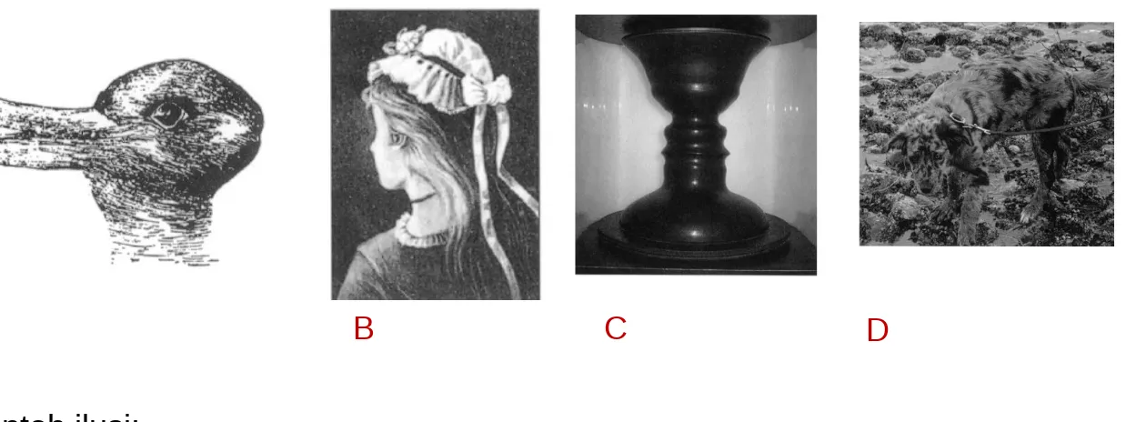 Gambar A, B, dan C memiliki figure-ground. Gambar D contoh kamuflase.