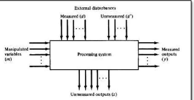 Gambar 1.1 Variabel Input dan Output Disekeliling Proses Kimia 