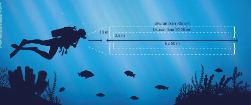 Gambar 4. Metode sensus visual bawah air (Underwater Visual Census - UVC) 
