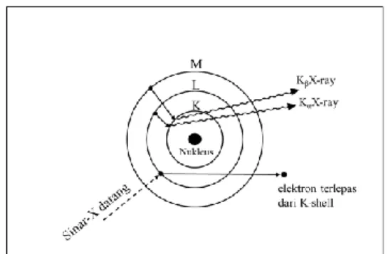 Gambar 2.7. Prinsip XRF. 