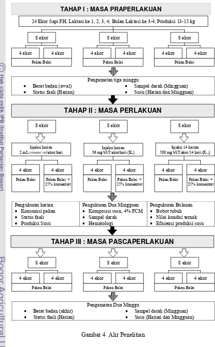 Gambar 4  Alir Penelitian 