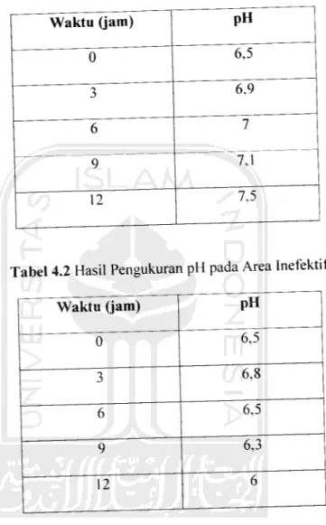 Tabel 4.1 Hasil Pengukuran pH pada Area efektif