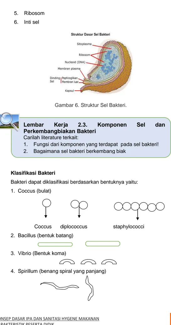 Gambar 6. Struktur Sel Bakteri. 