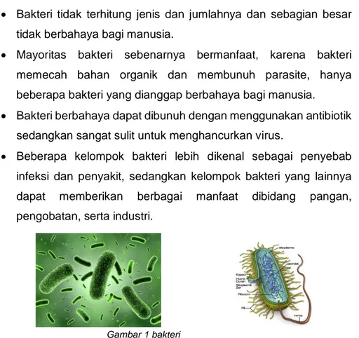 Gambar 1 bakteri 