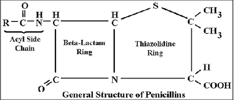 Gambar 5. 2: Struktur kimia penisilin 