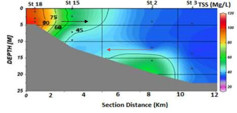 Gambar 5.Distribusi MPT Secara VertikalTransek B Di Perairan Bengkulu. 