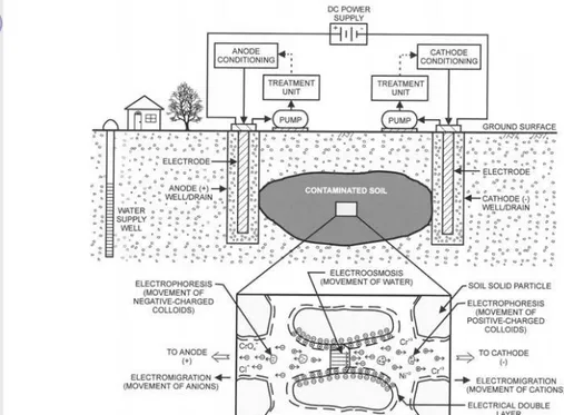 Gambar 3 Skema teknologi elektrokinetik untuk remidiasi tanah (Reddy, 2002)