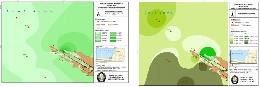 Gambar 3. Sebaran Konsentrasi Klorofil-a  Pengambilan 20 Mei 2014 