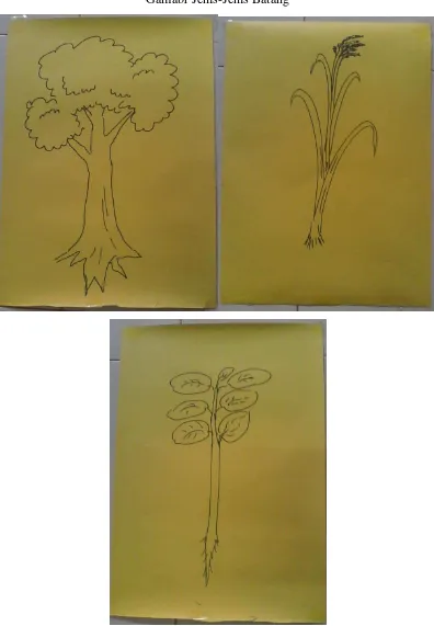 Gambar 2. Batang Berkayu, batang rumput, dan batang basah 