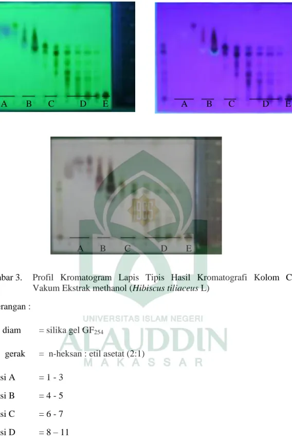 Gambar 3.   Profil  Kromatogram  Lapis  Tipis  Hasil  Kromatografi  Kolom  Cair  Vakum Ekstrak methanol (Hibiscus tiliaceus L) 