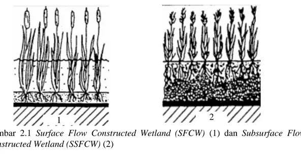 Gambar  2.1  Surface  Flow  Constructed  Wetland  (SFCW)  (1)  dan  Subsurface  Flow 