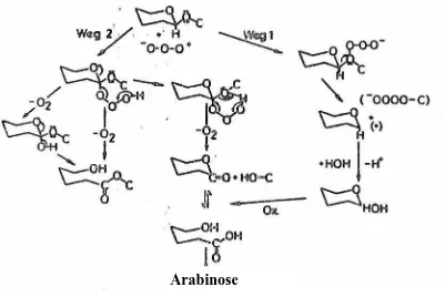 Gambar 2-9.Reaksi Ionik Antara Gas Ozon Dengan Karbohidrat (PAN et al.,