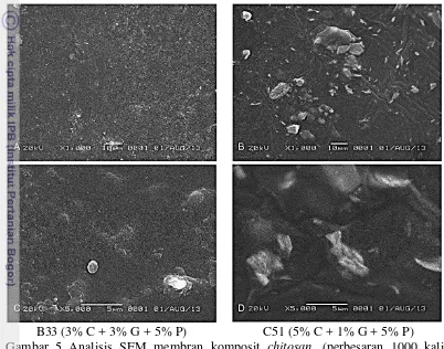 Gambar 5 Analisis SEM membran komposit chitosan. (perbesaran 1000 kali 