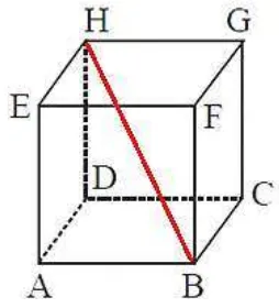 Gambar 1.5 Diagonal Ruang Kubus 