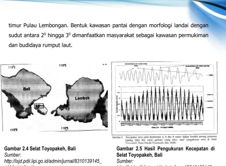 Gambar 2.4 Selat Toyopakeh, Bali 