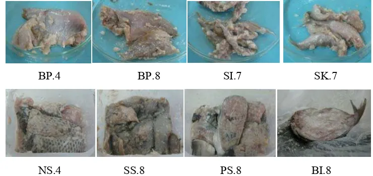 Gambar 7  Sampel bekasam yang digunakan dalam penelitian.  