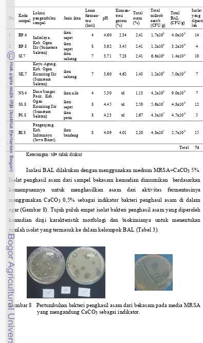 Gambar 8   Pertumbuhan bakteri penghasil asam dari bekasam pada media MRSA 