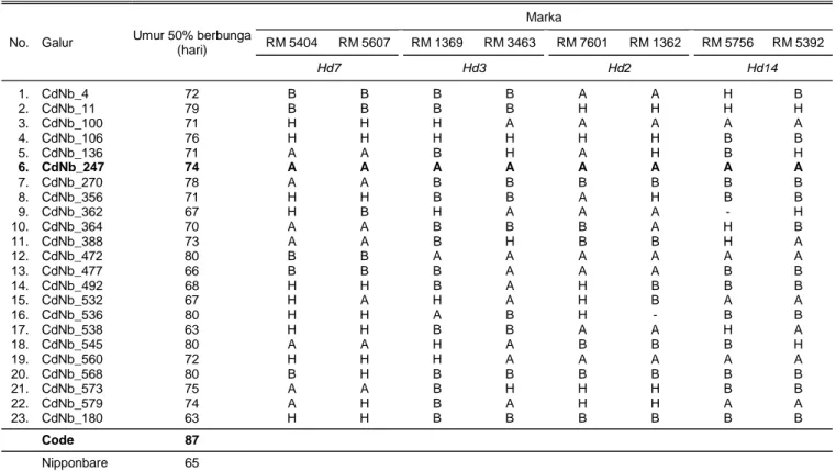 Tabel 6.  Data skoring pada 23 galur F 3  Code x Nipponbare dengan 8 marka mikrosatelit