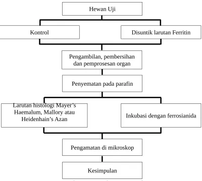 Gambar 2. Kerangka Operasional