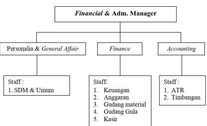 Gambar 3.  Skema Financial & Adm. Manager  