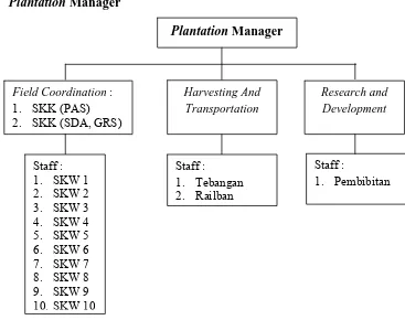 Gambar 4.  Skema Plantation Manager 