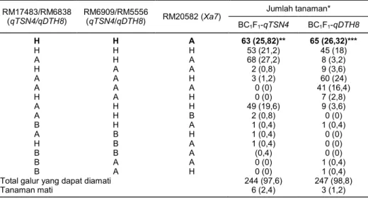 Tabel 2.  Pola alel individu BC 1 F 1 -qTSN4 dan BC 1 F 1 -qDTH8. 