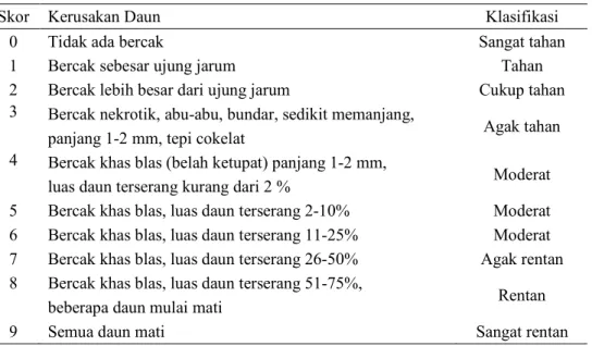Table  1.  Klasifikasi  Skala  Serangan  Pyricularia  oryzae  Cav.  berdasarkan  ”Standar  Evaluation System For Rice” pada daun padi (IRRI, 1996) 