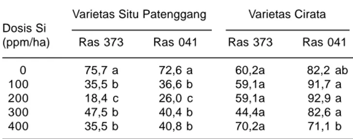 Tabel 4. Intensitas serangan penyakit blas daun ras 373 dan 041 pada varietas Situ Patenggang dan Cirata.