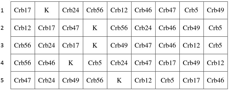 Gambar 6. Skema penempatan pot secara acak dalam uji pemacu tumbuh pada media tanah steril dan tanah non-steril di rumah kaca (K = kontrol tanpa inokulasi; Crb17 adalah kedelai yang diinokulasi dengan isolat Pseudomonas Crb17; angka 1 sampai 5 adalah nomor