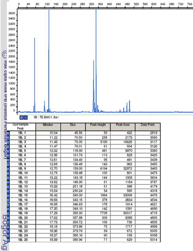 Gambar 9  Contoh hasil analisis komunitas bakteri dengan T-RFLP. Sumbu x  adalah  ukuran TRF (bp) dan sumbu y adalah intensitas pendaran TRF (unit  fluoresens)