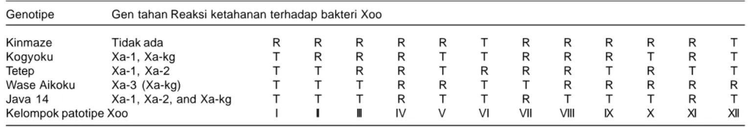 Tabel 1. Pengelompokan patotipe Xoo berdasarkan interaksi antara varietas  diferensial dengan bakteri Xoo