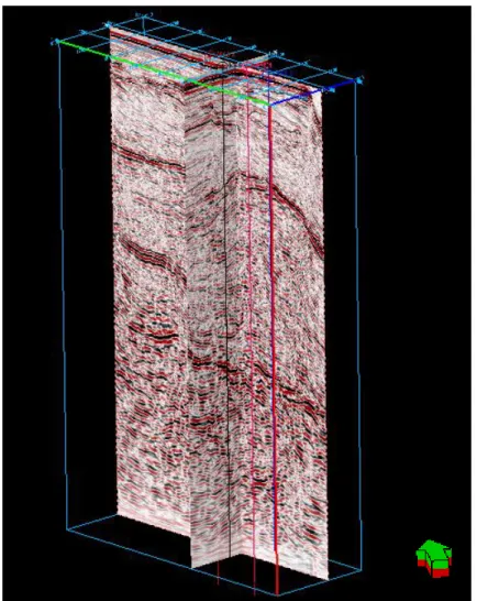 Gambar 3.4. 3D window dari daerah penelitian 