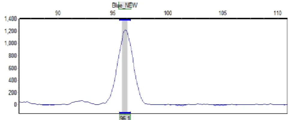Gambar  1.    Contoh  grafik  puncak  pancaran  label  fluoresen  (FAM)  pada  salah  satu  aksesi  durian 