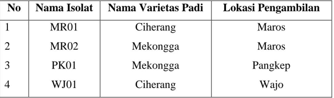 Tabel 2.  Daftar isolat bakteri, nama varietas dan lokasi pertanaman padi 