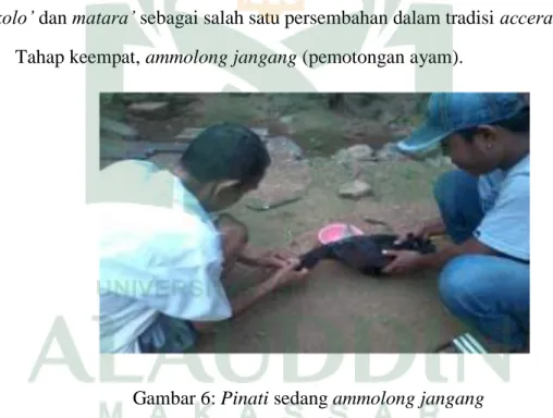 Gambar 6: Pinati sedang ammolong jangang 