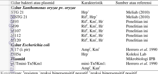 Tabel 1 Galur bakteri dan plasmid yang digunakan dalam  penelitian 