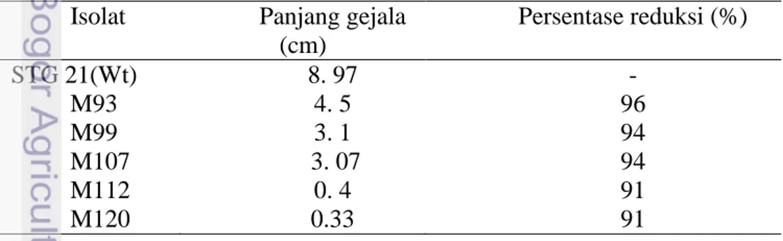 Tabel 5 Perbandingan panjang gejala HDB tipe liar terhadap mutan  Isolat  Panjang gejala 