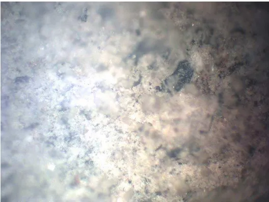 Gambar 4.q.   Foto Mikroskopik Sampel Batako Untuk Penggunaan FlyAsh 30% dari Volume semen dan RHA 15% dari Volume pasir ( 200 X ) 